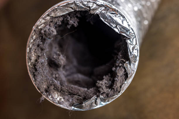 Best Dryer Vent Cleaning Services  in South Fulton, GA